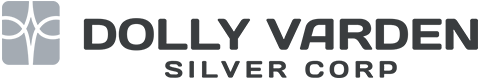 dolly-varden-silver-logo